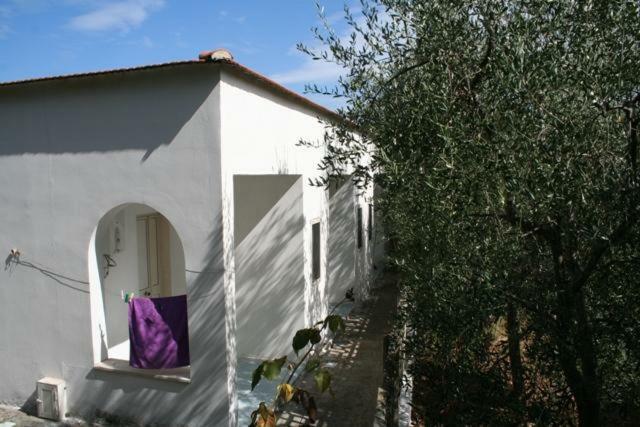 Casa Vacanze Pizzone Apartamento Peschici Exterior foto
